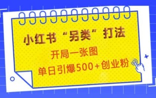 小红书“另类”打法，开局一张图，单日引爆500+精准创业粉【揭秘】