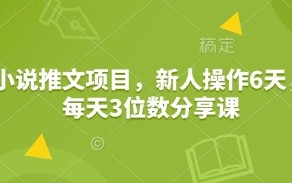小说推文项目，新人操作6天，每天3位数分享课