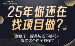 25年，你还在疯狂的找项目吗？别傻了，看完这个你都懂了【揭秘】