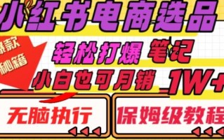 小红书电商爆款选品秘籍，帮你轻松打爆笔记，小白也可轻松月销10000+