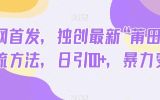 全网首发，独创最新“莆田鞋”引流方法，日引100+，暴力变现