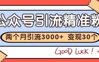 公众号精准粉引流玩法 2个月3000+精准粉 变现30万+
