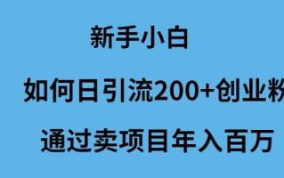 (9668期)新手小白如何日引流200+创业粉通过卖项目年入百万