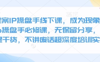 全案IP操盘手线下课，成为现象级ip操盘手必修课，无保留分享，全是干货，不讲废话超深度培训实操