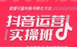 抖音运营实操班，掌握可盈利账号孵化方法，打造高效低成本获客系统