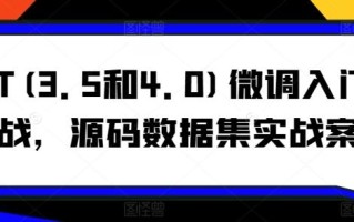 GPT(3.5和4.0)微调入门和实战，源码数据集实战案例
