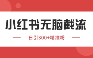 小红书截流同行客源，独家野路子获客玩法 日引200+暴力获客