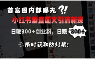 首富圈内部曝光小红书垂直图文引流新课，日吸300+创业粉，日入8张+，限时获取防封禁