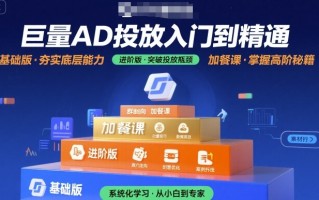 巨量AD投放入门到精通，基础版+进阶版+加餐课