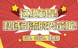 最新首发全平台引流玩法，公域引流私域玩法，轻松获客500+，附引流脚本，克隆截流自热玩法【揭秘】