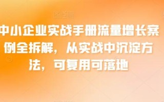 中小企业实战手册流量增长案例全拆解，从实战中沉淀方法，可复用可落地