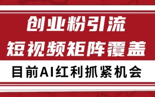 创业粉精准引流 CY赛道引流获客 自热矩阵SOP日引200+