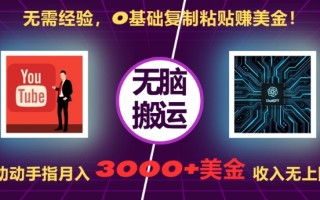 无需经验，0基础复制粘贴赚美刀，动动手指，月入3000+刀，无上限【揭秘】