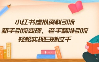 小红书虚拟资料引流，新手引流变现，老手精准引流，轻松实现日赚过千
