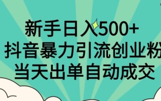 新手日入500+，抖音暴力引流创业粉，当天出单自动成交