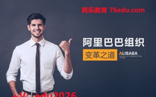 阿里巴巴组织变革之道（2集） mp4高清无水印视频教程网盘免费下载