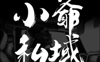 小爷·私域项目操盘手