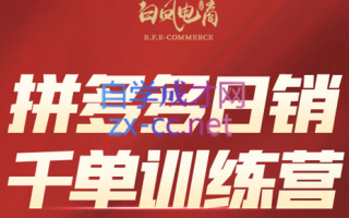 白凤电商·拼多多日销千单训练营(更新7月)