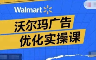 沃尔玛广告优化实操课，广告报告实操讲解，广告如何提高转化和ROAS等