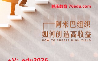 阿米巴组织如何创造高收益（2集） mp4高清无水印视频教程网盘免费下载
