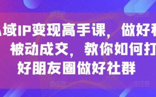 私域IP变现高手课，做好私域，被动成交，教你如何打造好朋友圈做好社群