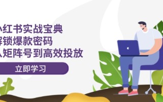 小红书实战宝典：解锁爆款密码，从矩阵号到高效投放