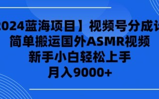 (9743期)【2024蓝海项目】视频号分成计划，无脑搬运国外ASMR视频，新手小白轻松…