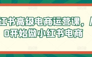 小红书高级电商运营课，从0开始做小红书电商