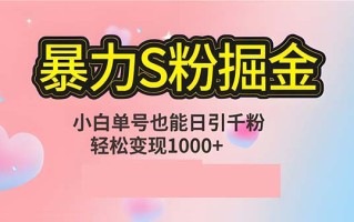 单人单机日引千粉，变现1000+，S粉流量掘金计划攻略