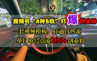 视频号“A种B收”打爆创业粉，一套视频模板打通自热流，单日单号引流200+创业粉