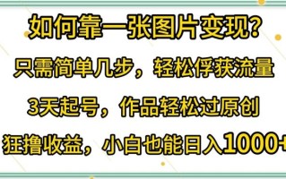 如何靠一张图片变现?只需简单几步，轻松俘获流量，3天起号，作品轻松过原创【揭秘】