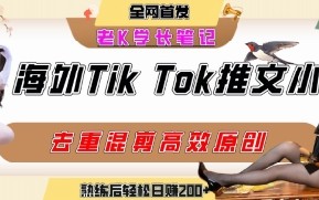 海外tiktok小说推文暴力项目，高停留率，高转化率，上手后一天搞顿饭钱不是问题