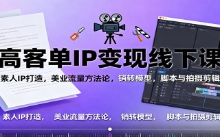 高客单IP变现线下大课：素人IP打造，美业流量方法论，销转模型，脚本与拍摄剪辑