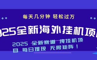 2025最新海外挂机项目：每天几分钟，轻松月入过万