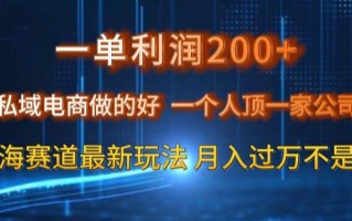 一单利润200私域电商做的好，一个人顶一家公司蓝海赛道最新玩法【揭秘】