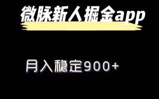 最新微脉长久项目，拉新掘金，月入稳定900+