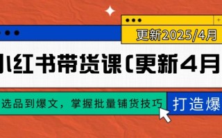 小红书带货课(更新4月