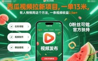 西瓜视频拉新项目，一单13米，有人悄悄用这个方法，一条视频收益2.5w+(附详细教程)