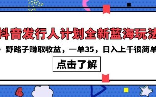 (10067期)抖音发行人计划全新蓝海玩法，野路子赚取收益，一单35，日入上千很简单!