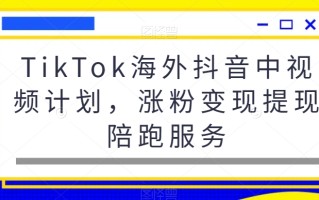 TikTok海外抖音中视频计划，涨粉变现提现陪跑服务