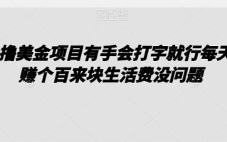 0撸美金项目有手会打字就行每天赚个百来块生活费没问题【揭秘】
