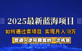 2025蓝海项目，普通人如何通过卖项目，实现月入过W，全过程【揭秘】
