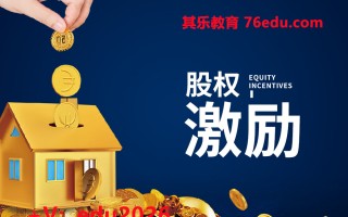 股权激励（4集） mp4高清无水印视频教程网盘免费下载