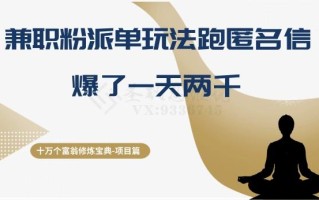 十万个富翁修炼宝典之6.兼职粉派单玩法跑匿名信，爆了一天两千