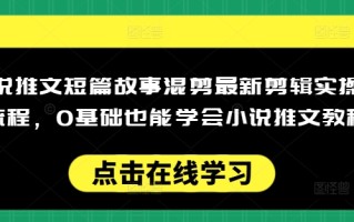 小说推文短篇故事混剪最新剪辑实操全流程，0基础也能学会小说推文教程，肯干多发日入多张