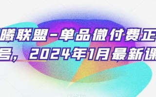 臻曦联盟-单品微付费正价起号，2024年1月最新课程