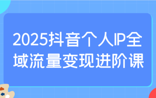 2025抖音个人IP全域流量变现进阶课：选爆品、抖音付费投流、千川投流实操及优化等