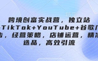 跨境创富实战营，独立站+TikTok+YouTube+谷歌广告，经营策略，店铺运营，精准选品，高效引流