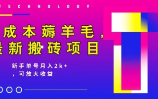 0成本薅羊毛，最新搬砖项目，新手单号月入2k+，可放大操作