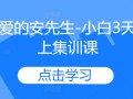 亲爱的安先生-小白3天线上集训课